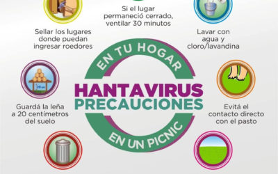 Hantavirus: la importancia de la prevención