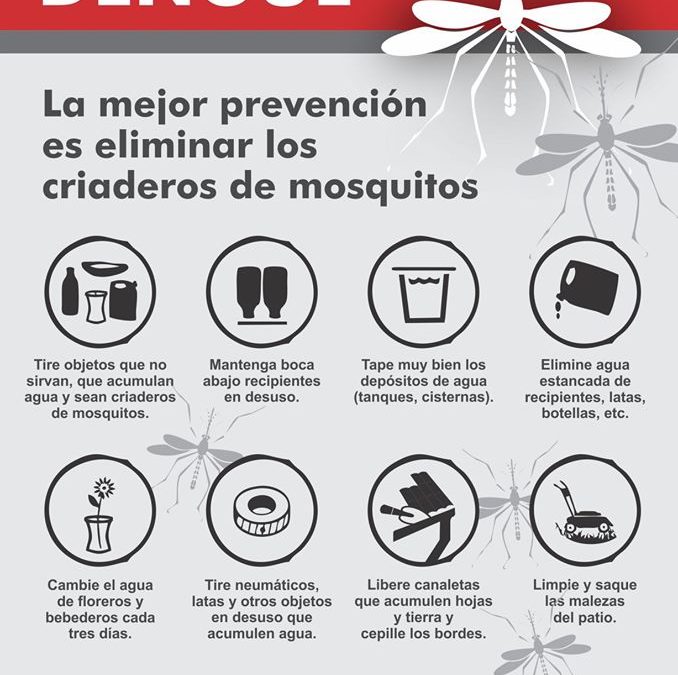 Sin mosquitos, no hay dengue
