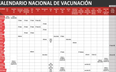 Salud: Calendario de Vacunación Nacional