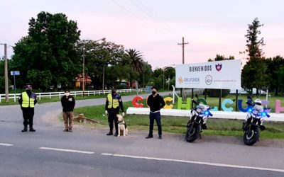 Seguridad: Operativos de Policía Vial con canes de Dirección Cinotecnia de La Plata