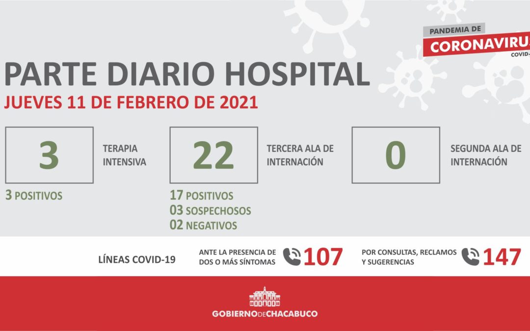 Coronavirus: Hospital Municipal, parte diario 11/2