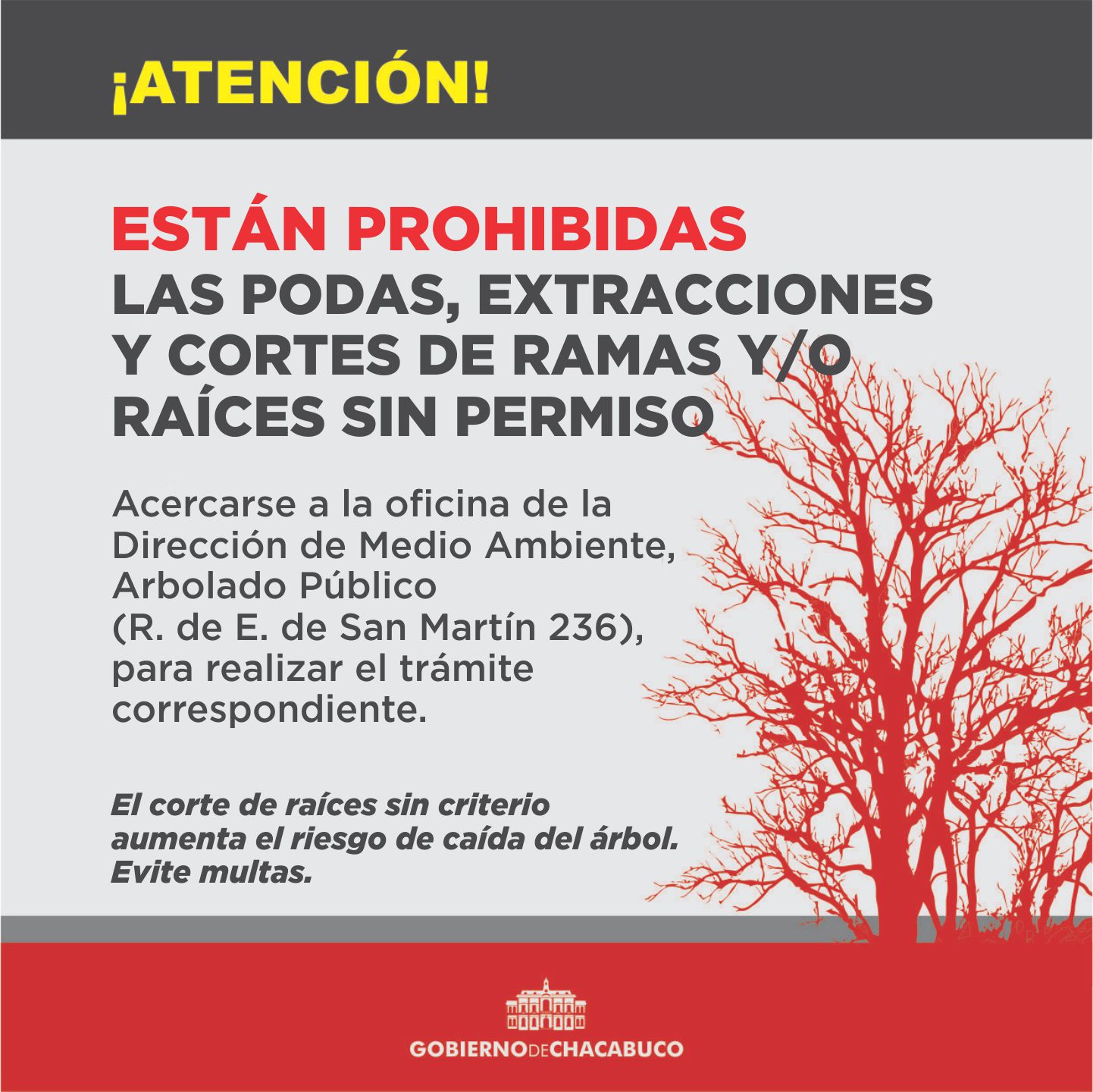 Atención: para poda, cortes de raíces y extracción de árboles se necesita  permiso municipal | Ciudad de Chacabuco