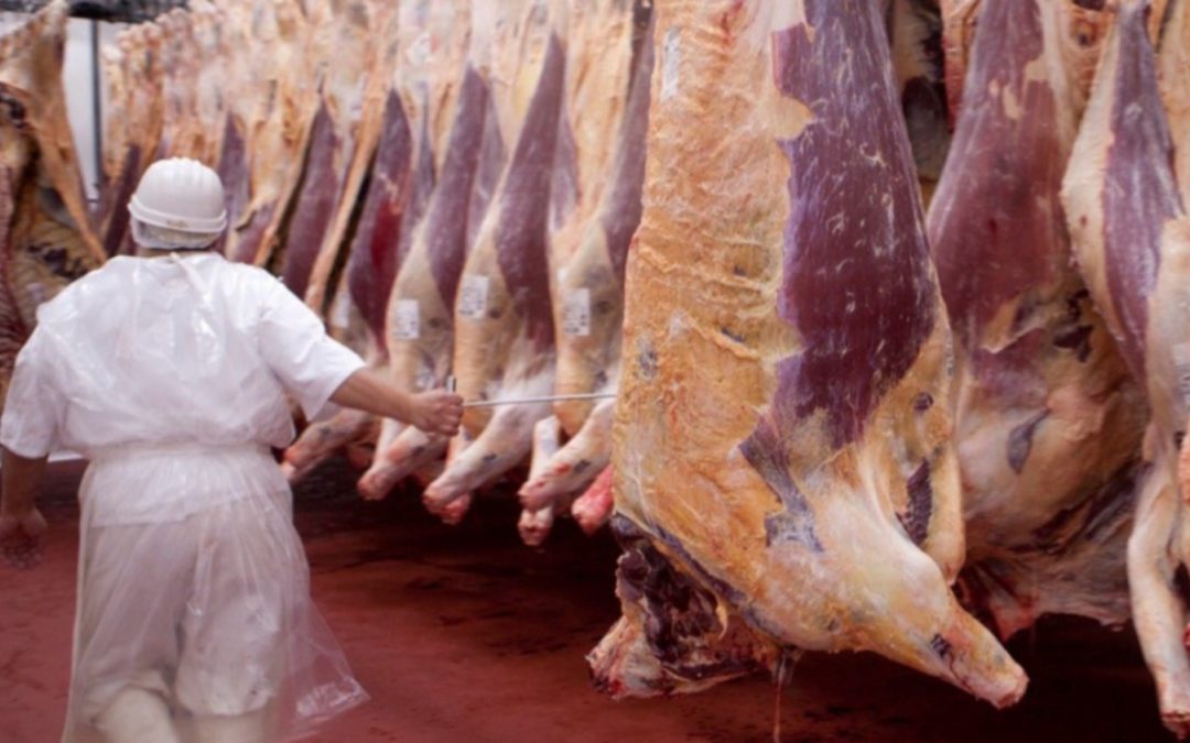 Exportaciones de carne: se amplió la restricción para disminuir precios