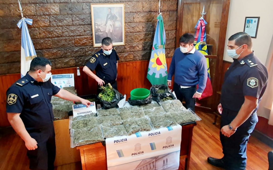 Se incautaron más de 10 kilos de marihuana en Chacabuco