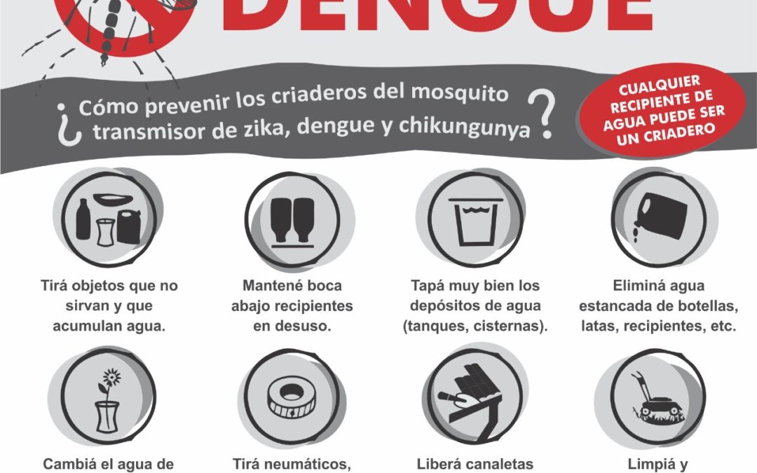 Dengue en aumento: ¿Qué hacer para evitar la propagación del mosquito transmisor?