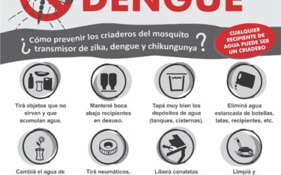Dengue: ¿qué hay que hacer para evitar su propagación?