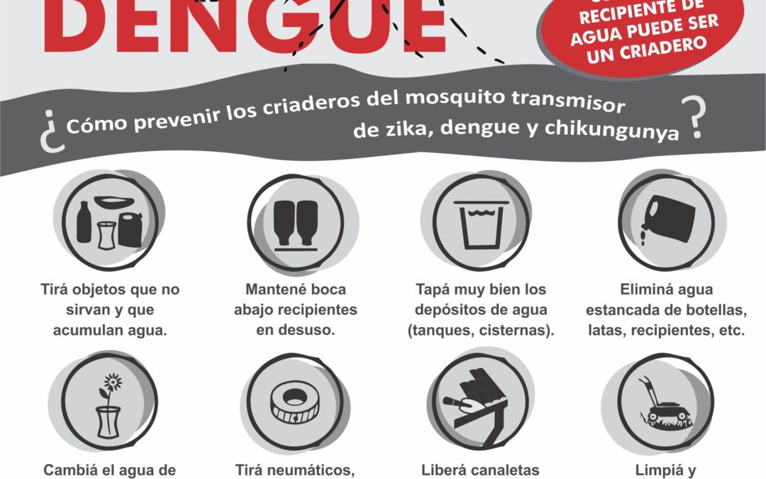 Prevención del Dengue: lo que hay que tener en cuenta