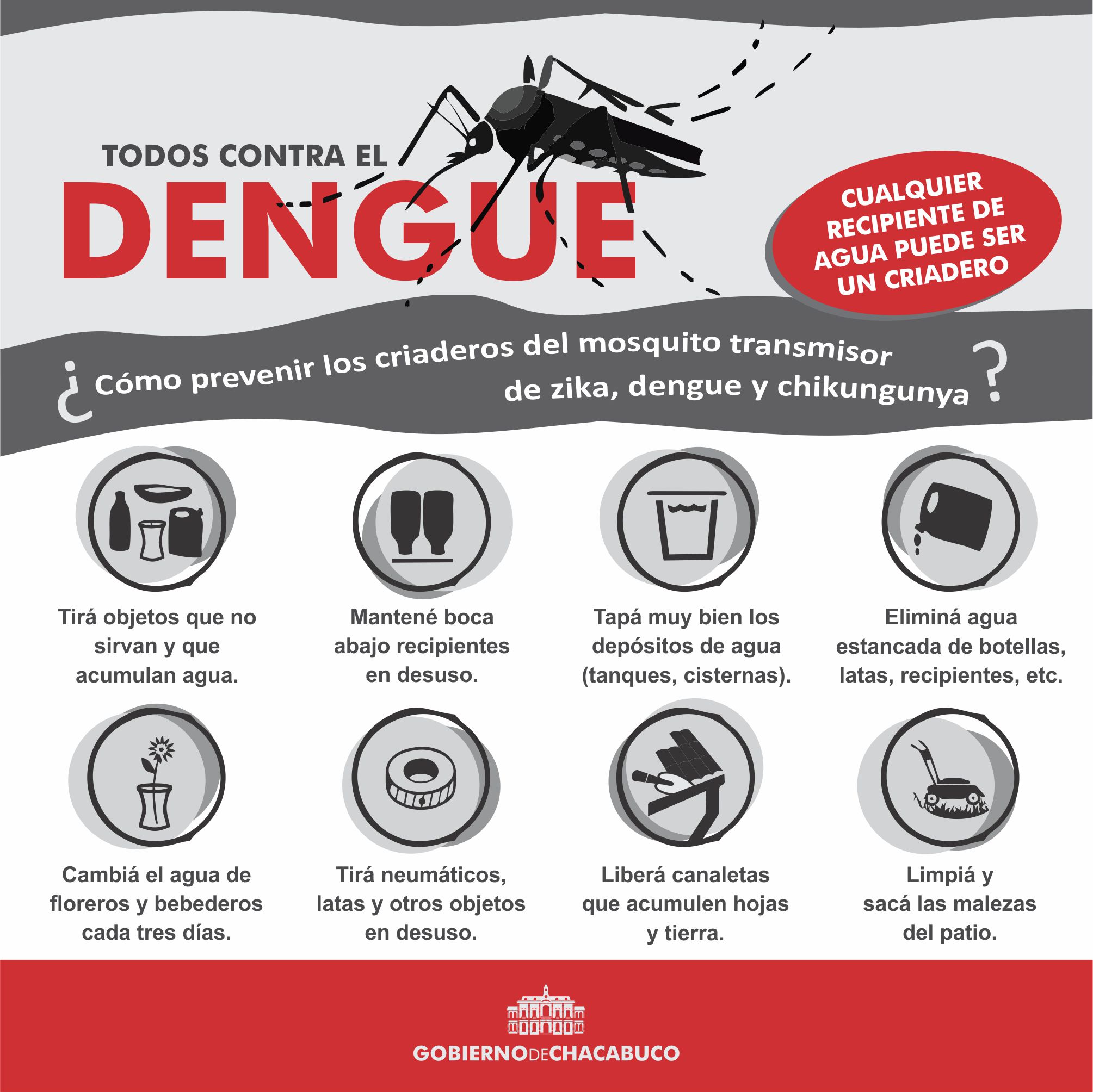 Prevención del Dengue lo que hay que tener en cuenta Ciudad de Chacabuco