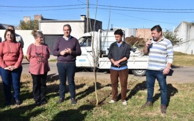 Plan de Forestación: Nuevos árboles en Barrio Los Nogales y Plazoleta del Barrio Solidaridad