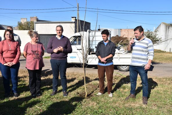 Plan de Forestación: Nuevos árboles en Barrio Los Nogales y Plazoleta del Barrio Solidaridad