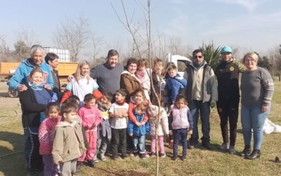 Plan de Forestación: Plantaron 11 Fresnos en el barrio San Cayetano