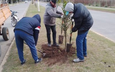 Nueva jornada de Forestación: se plantaron 30 árboles en el barrio «Las Perdices» y Acceso Juan XXII