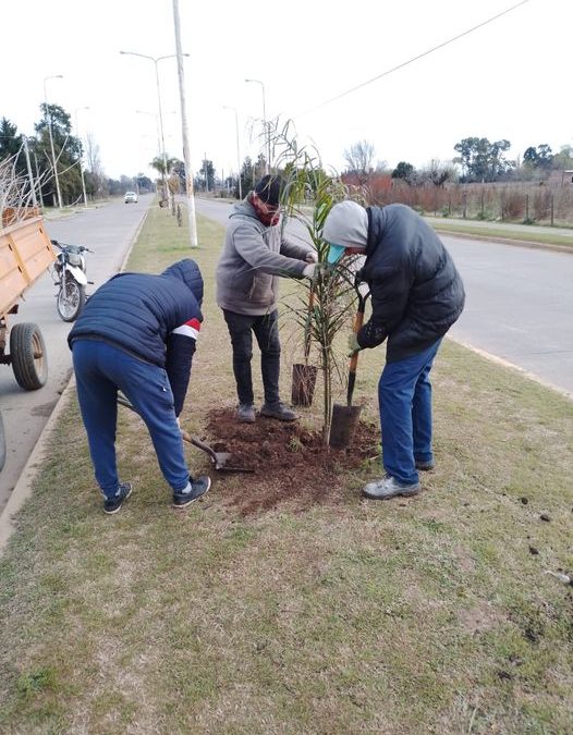 Nueva jornada de Forestación: se plantaron 30 árboles en el barrio «Las Perdices» y Acceso Juan XXII