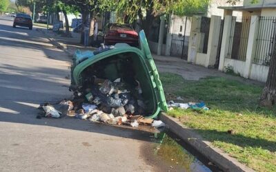 endio premeditado de contenedores de residuos en calle Espora