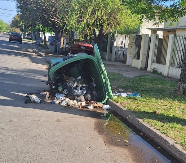 endio premeditado de contenedores de residuos en calle Espora