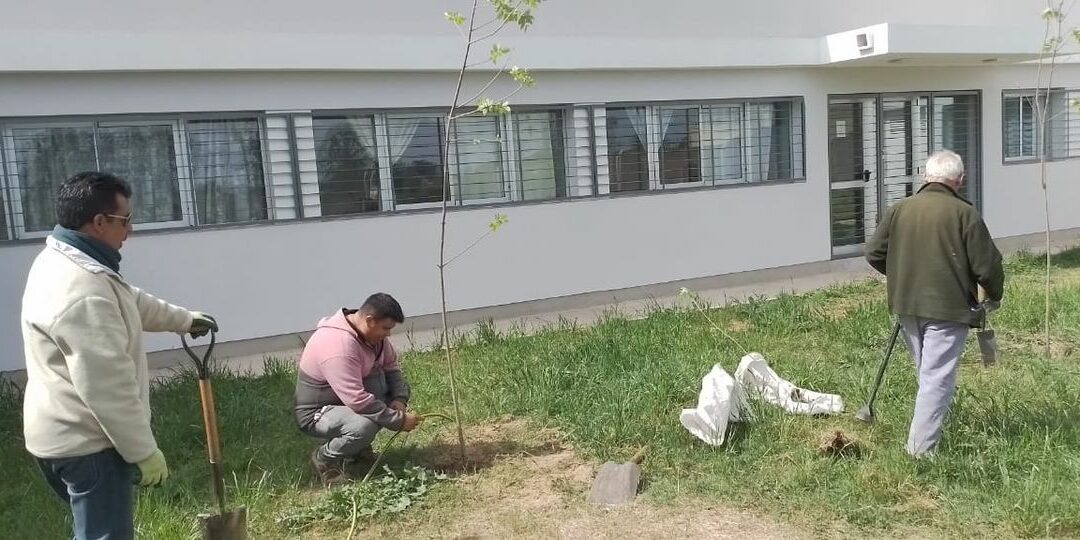 Plan de Forestación: Se plantaron ocho fresnos en el Parque Temático Infantil