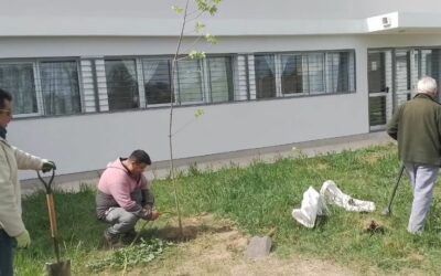 Plan de Forestación: Se plantaron ocho fresnos en el Parque Temático Infantil