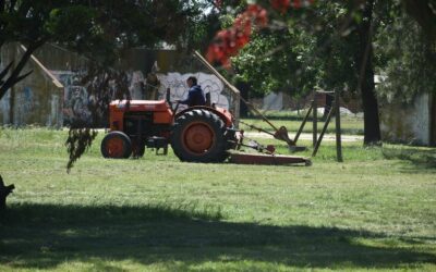 Tareas de mantenimiento y cortado de césped en el Parque Recreativo