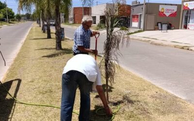 Plan de Forestación: Continúan las tareas de riego y monitoreo