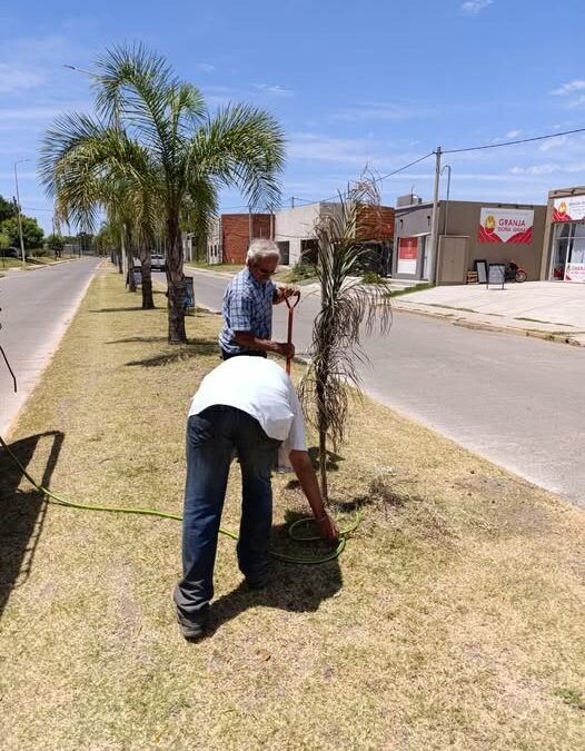 Plan de Forestación: Continúan las tareas de riego y monitoreo