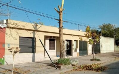 Información y aclaración sobre extracción de árboles