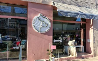 Junio: Se realizaron cuatro nuevas habilitaciones en comercios de Chacabuco