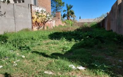 La Dirección de Inspección de la Municipalidad de Chacabuco informa