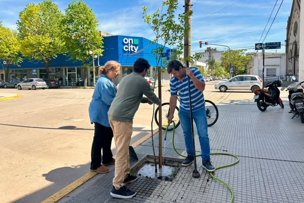 Reforestación en el Consejo Escolar de Chacabuco