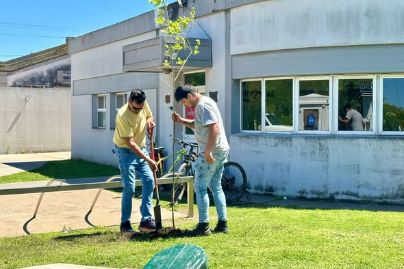 Plantación de árboles en Plaza Lavalle