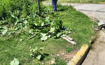 La Dirección de Inspección informa