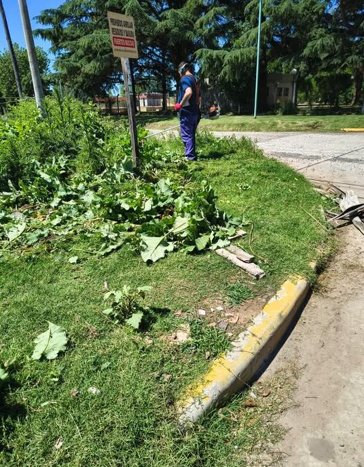 La Dirección de Inspección informa