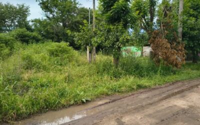 Recordatorio para este verano