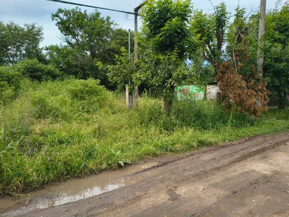Recordatorio para este verano