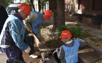 Continúa la limpieza de bocas de tormenta ante pronósticos de lluvias