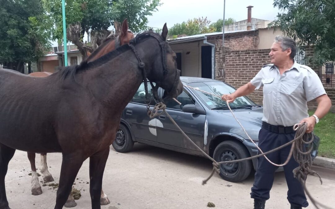 Tránsito: Estadísticas de infracciones en el mes de marzo