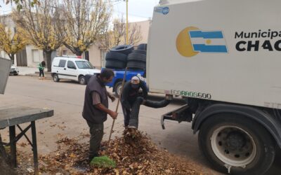 El Municipio puso en marcha, una manera rápida de recolectar las hojas en la calle