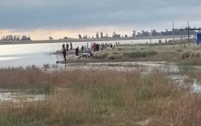 Buena concurrencia en la Laguna de Rocha durante el fin de semana