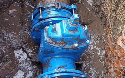 Recuperamos un pozo de agua que había sido cerrado durante años