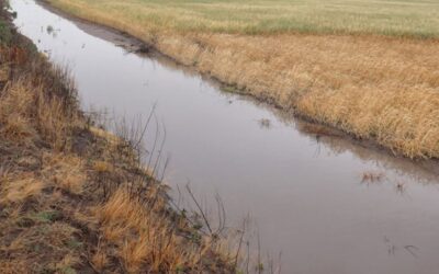 Comunicado Municipal: “Se encuentra prohibida la realización de obras de canalización, modificación o limpieza de canales sin la correspondiente autorización”