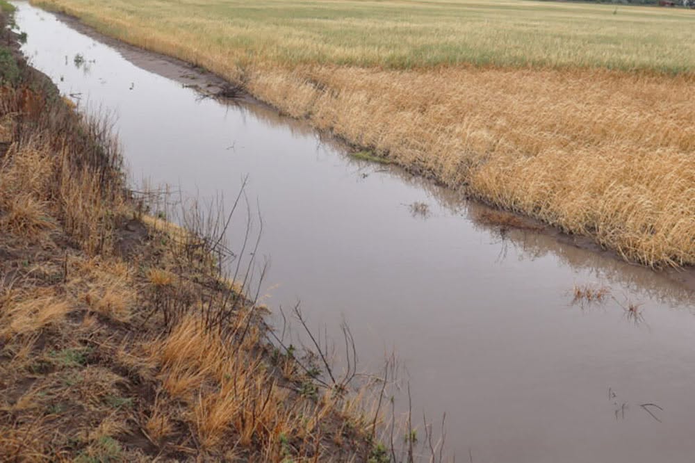 Comunicado Municipal: “Se encuentra prohibida la realización de obras de canalización, modificación o limpieza de canales sin la correspondiente autorización”