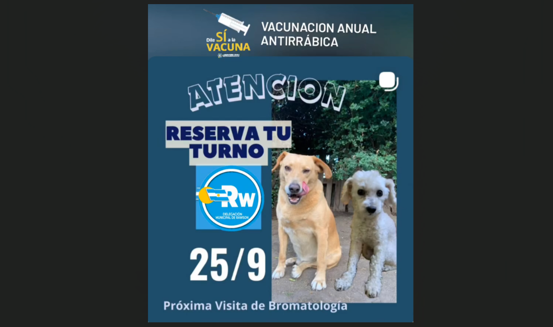 Vacunación antirrábica en Rawson