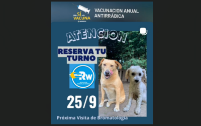 Vacunación antirrábica en Rawson