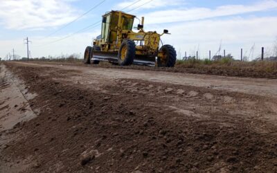 En el campo, cada camino tiene un destino. Por eso, trabajamos todos los días.