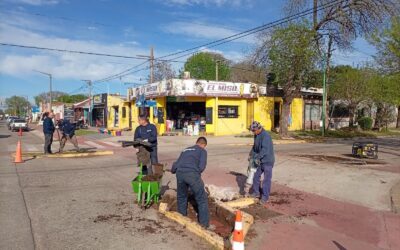 Comenzó el retiro de los canteros elevados en las esquinas de avenida Garay, Brandsen y Coronel Suárez