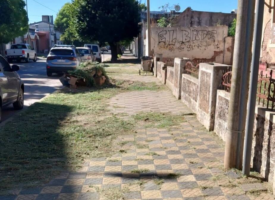 La Municipalidad recuerda la responsabilidad de los frentistas sobre el arbolado urbano